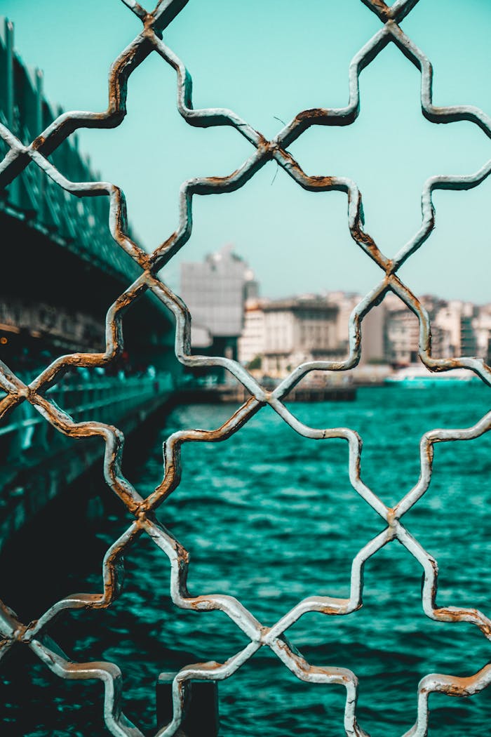 Urban view through a rusty decorative fence with water and cityscape in the background.